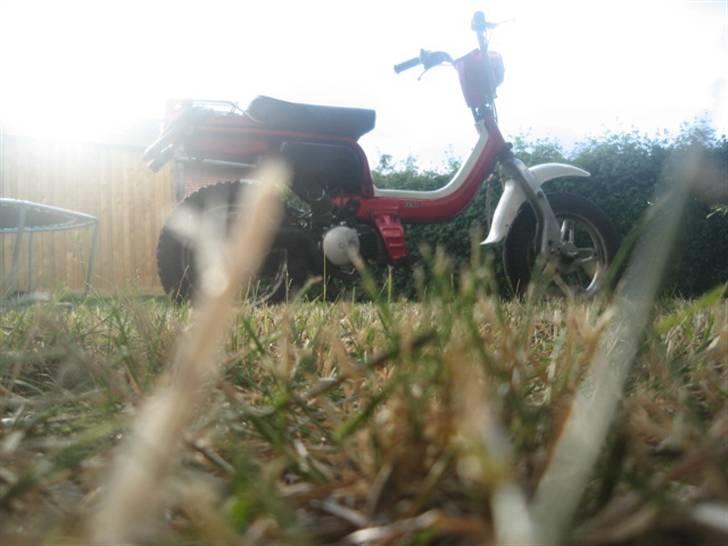 Suzuki FZ50 SOLGT billede 6