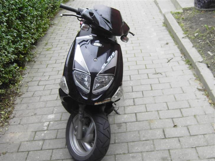 PGO Dr.big SOLGT! billede 2