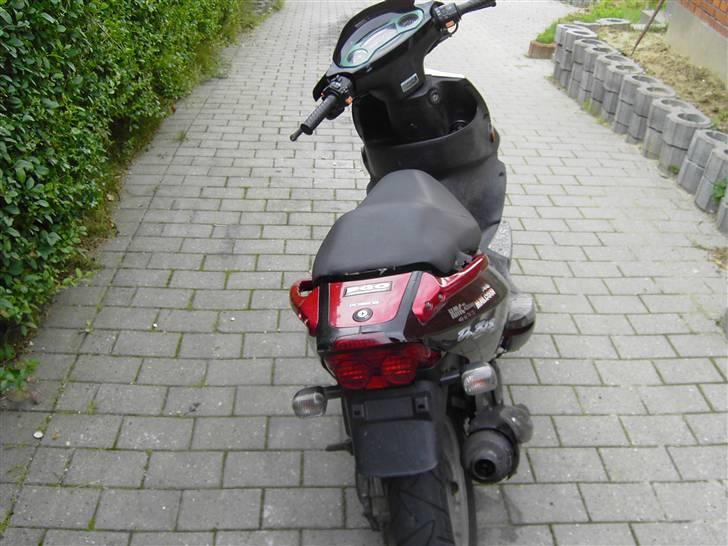 PGO Dr.big SOLGT! billede 4