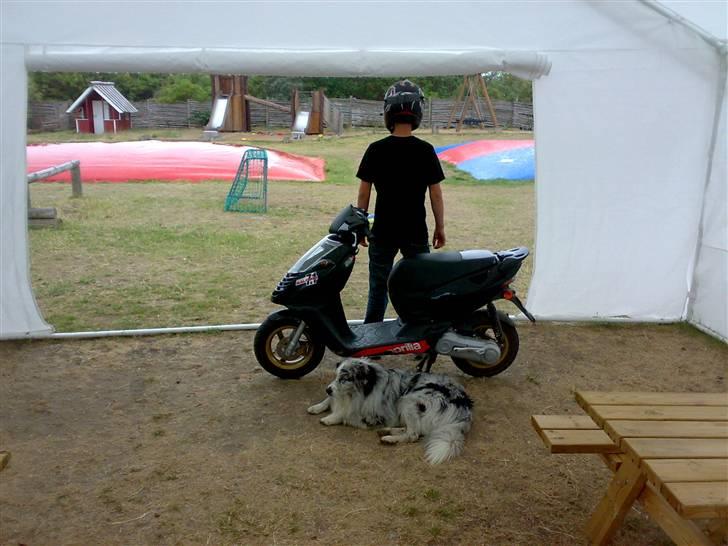 Aprilia sonic (før) billede 4