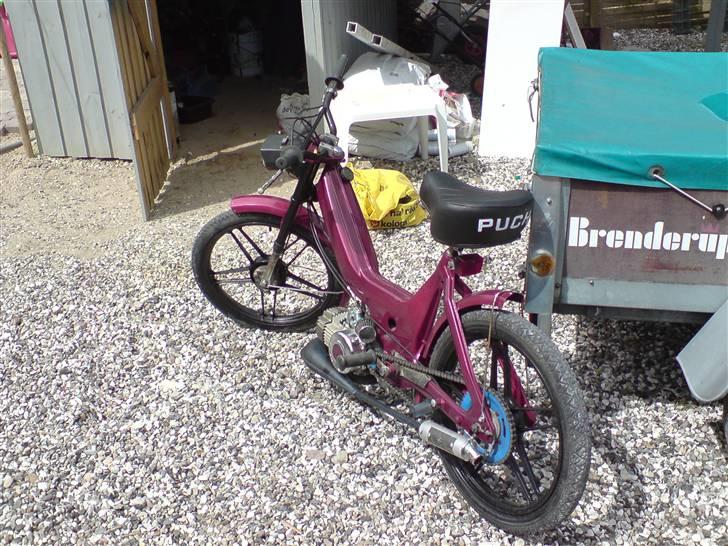 Puch Maxi k PROJEKT 75% (BYTTE billede 10
