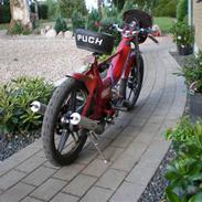 Puch Maxi K  NU   SOLGT