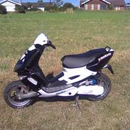 Peugeot speedfight 1