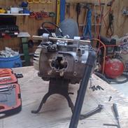 PGO Black Magic ! EVO