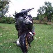 Aprilia sonic