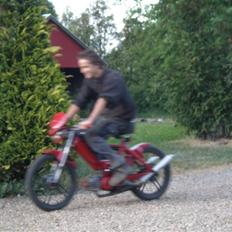 Puch Maxi K  NU   SOLGT