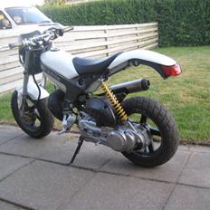 Suzuki street magic*SOLGT*