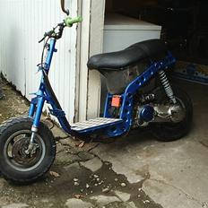 Piaggio typhoon ( SÆLGES ) ! 