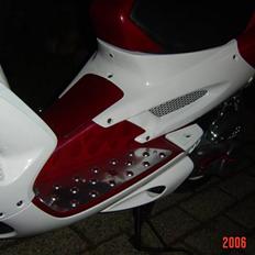 Peugeot Speedfight 2 WRC206 SOLGT