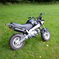 Skyteam PBR *BYTTET*