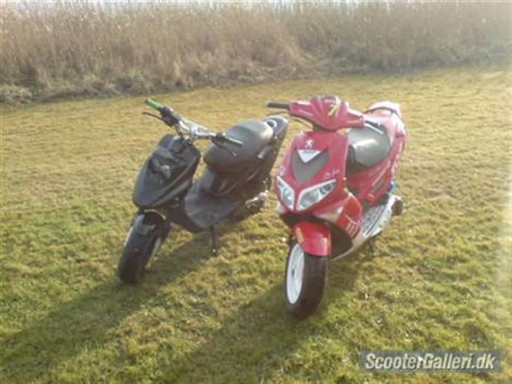 Peugeot speedy byttet til jog billede 6