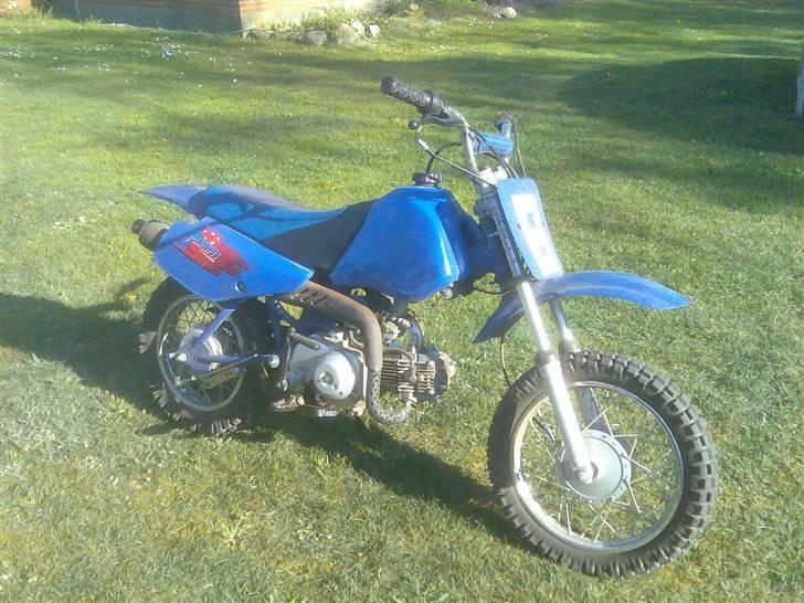 MiniBike Blueberry (TILSALG) billede 9