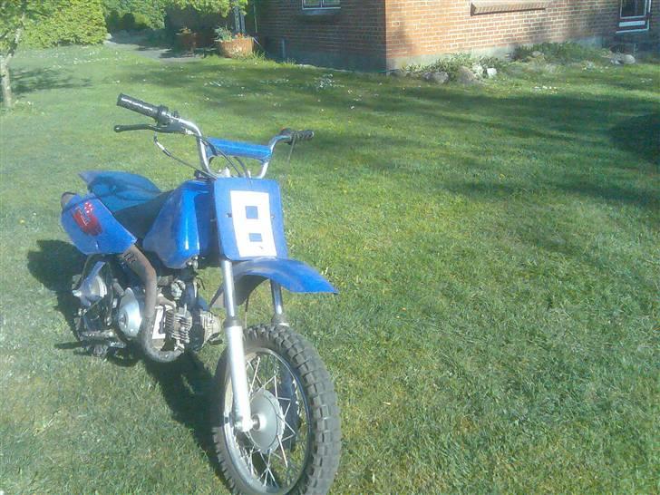 MiniBike Blueberry (TILSALG) billede 10