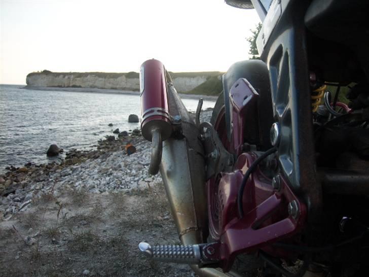 Suzuki Street Magic *Byttet* billede 4