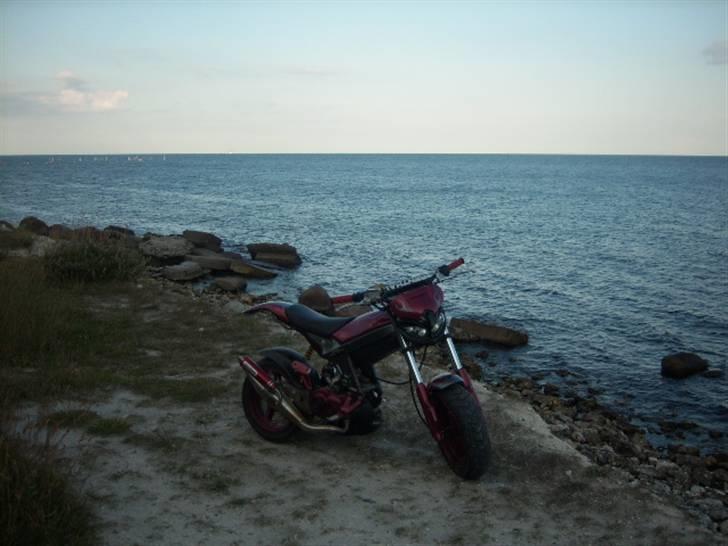 Suzuki Street Magic *Byttet* billede 8