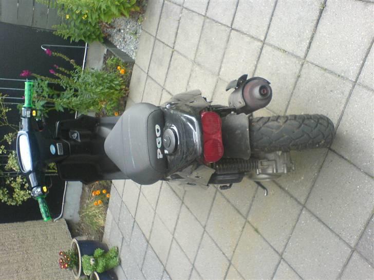 PGO Hot 50 - Solgt billede 4