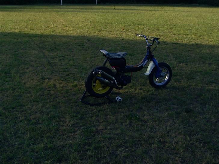 Suzuki FeoZ billede 1