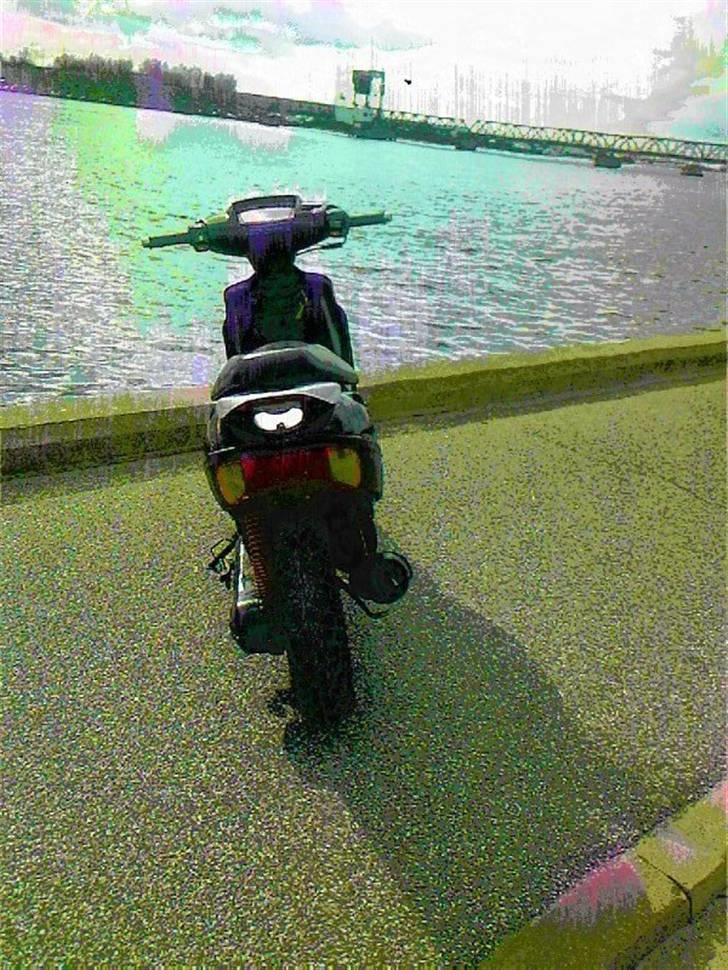 Adly baboon - Adlyen før. billede 2