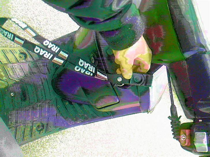 Adly baboon billede 3