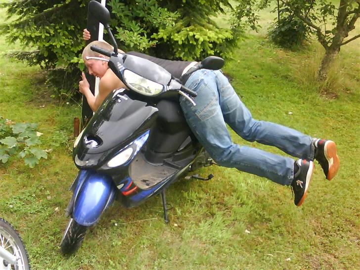 Giantco sprint billede 10