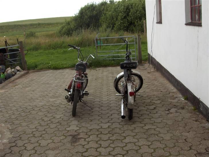 Puch Maxi 2Gear Projekt - Sammen med det sorte lyn billede 2