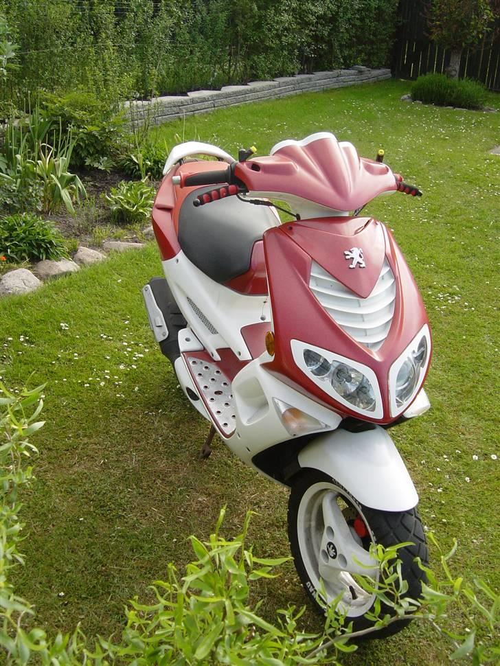 Peugeot Speedfight 2 WRC206 SOLGT billede 4