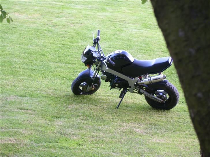 Skyteam pbr 125 nice solgt billede 13