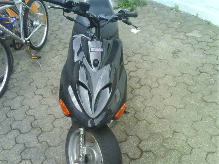 Adly baboon - sån som den er nu. billede 5