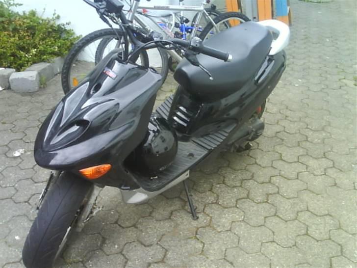 Adly baboon - sån som den er nu. billede 7