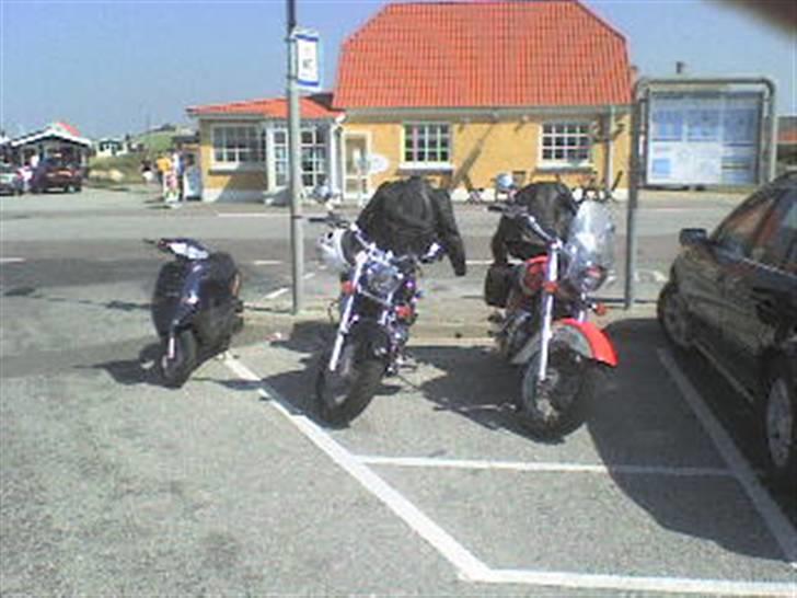 PGO Comet - A´vildkat med sine venner :b billede 5