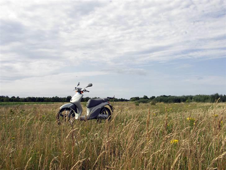 Yamaha Why YH50 (30) billede 11