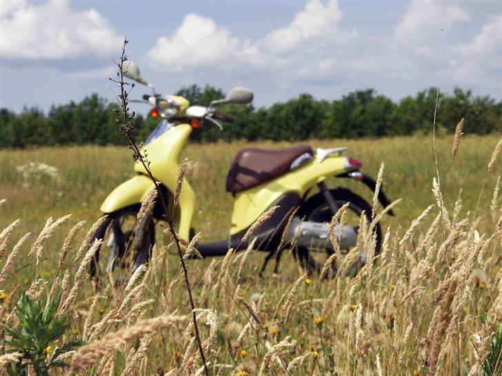 Yamaha Why YH50 (30) billede 15