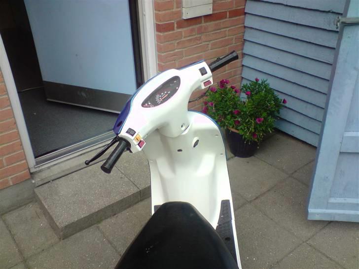 PGO Comet Byttet til Typhoon billede 7