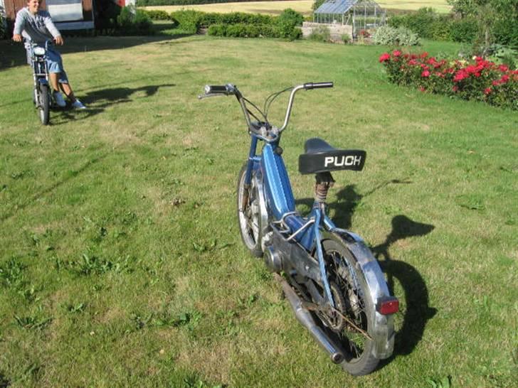 Puch maxi byttet til easyrider billede 3