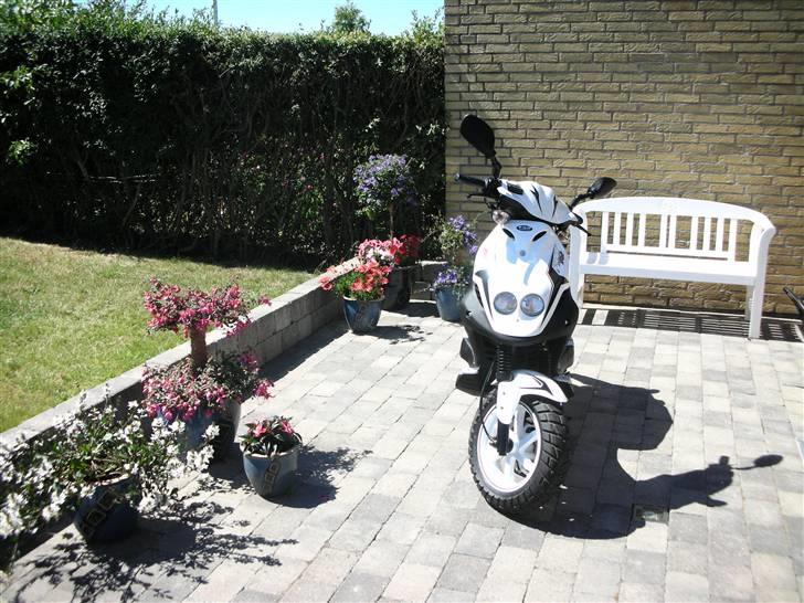 PGO PMX Sport før billede 17