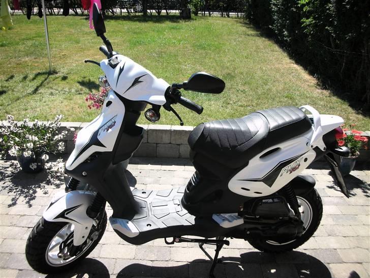 PGO PMX Sport før billede 18