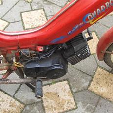 Tomos a-35 Quadro