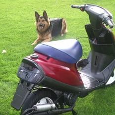 Yamaha Jog AS | Solgt