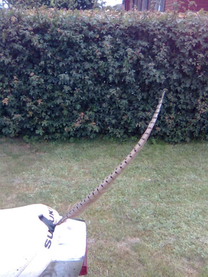 Suzuki samurai dm50 solgt billede 13