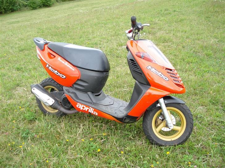 Aprilia Sonic Gp billede 7