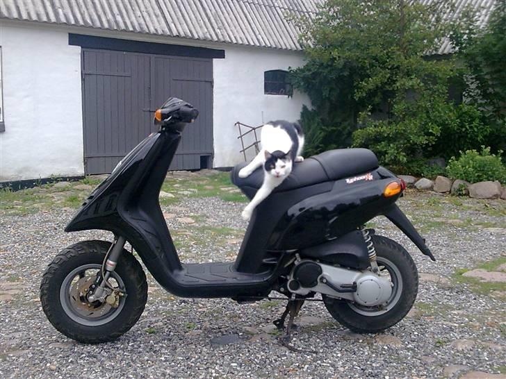 Piaggio Typhoon *SOLGT billede 1