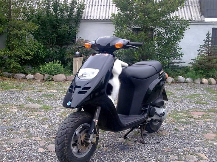 Piaggio Typhoon *SOLGT billede 3