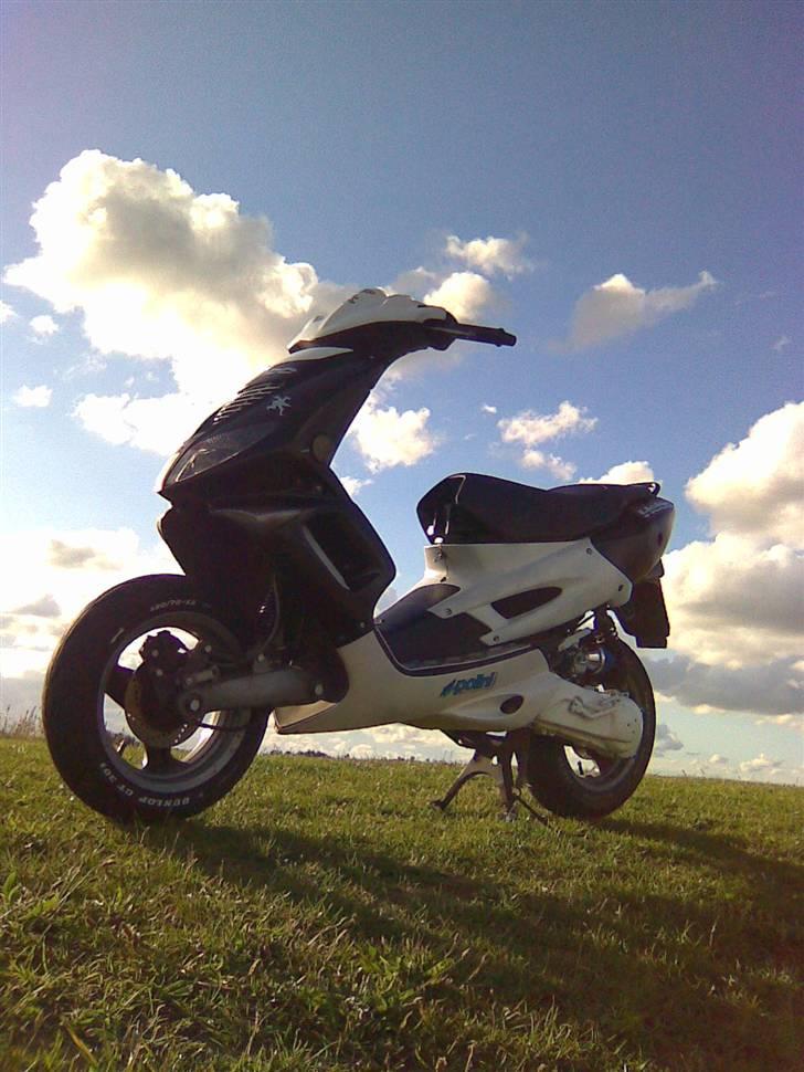 Peugeot speedfight 1 billede 14