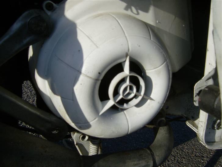 Gilera stalker byttet billede 5