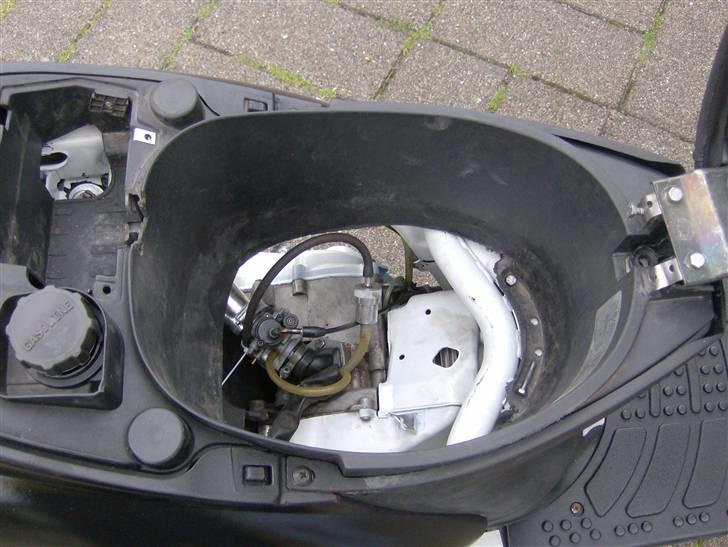 Gilera stalker byttet billede 6