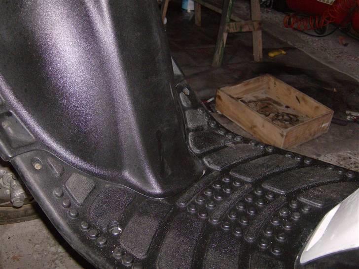 Gilera stalker byttet billede 10