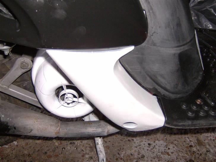 Gilera stalker byttet billede 12