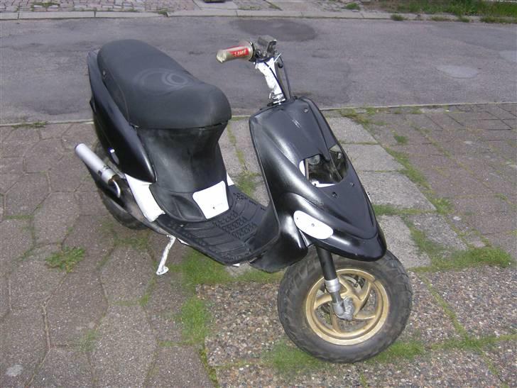 Gilera stalker byttet billede 16