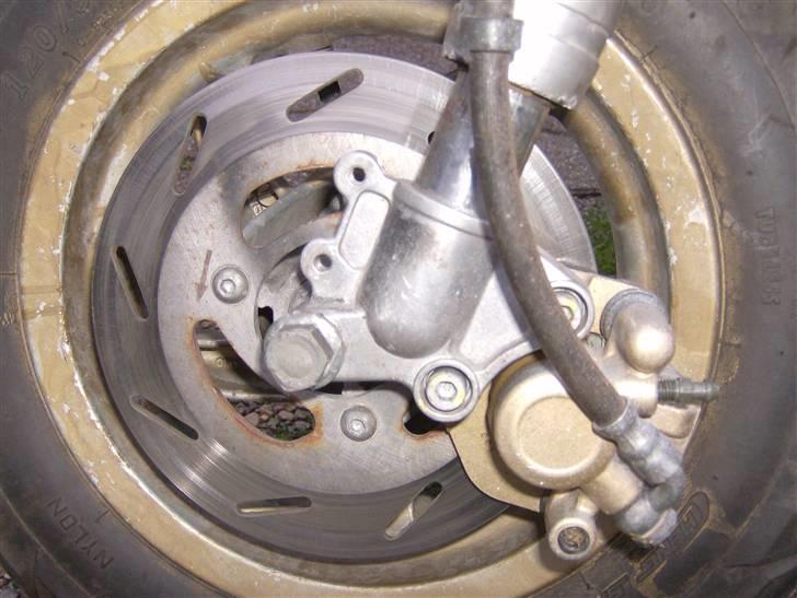 Gilera stalker byttet billede 17