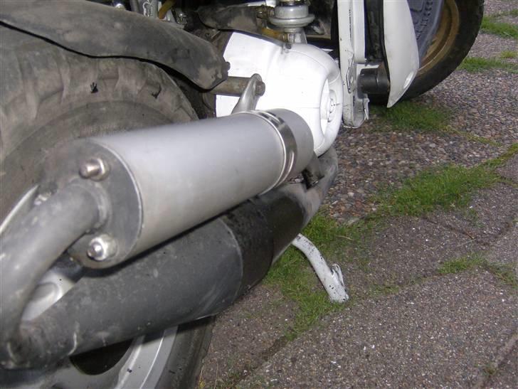 Gilera stalker byttet billede 18